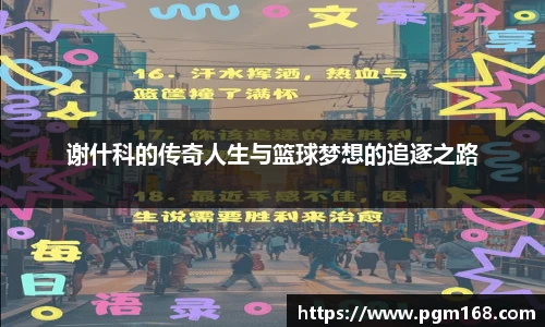 谢什科的传奇人生与篮球梦想的追逐之路